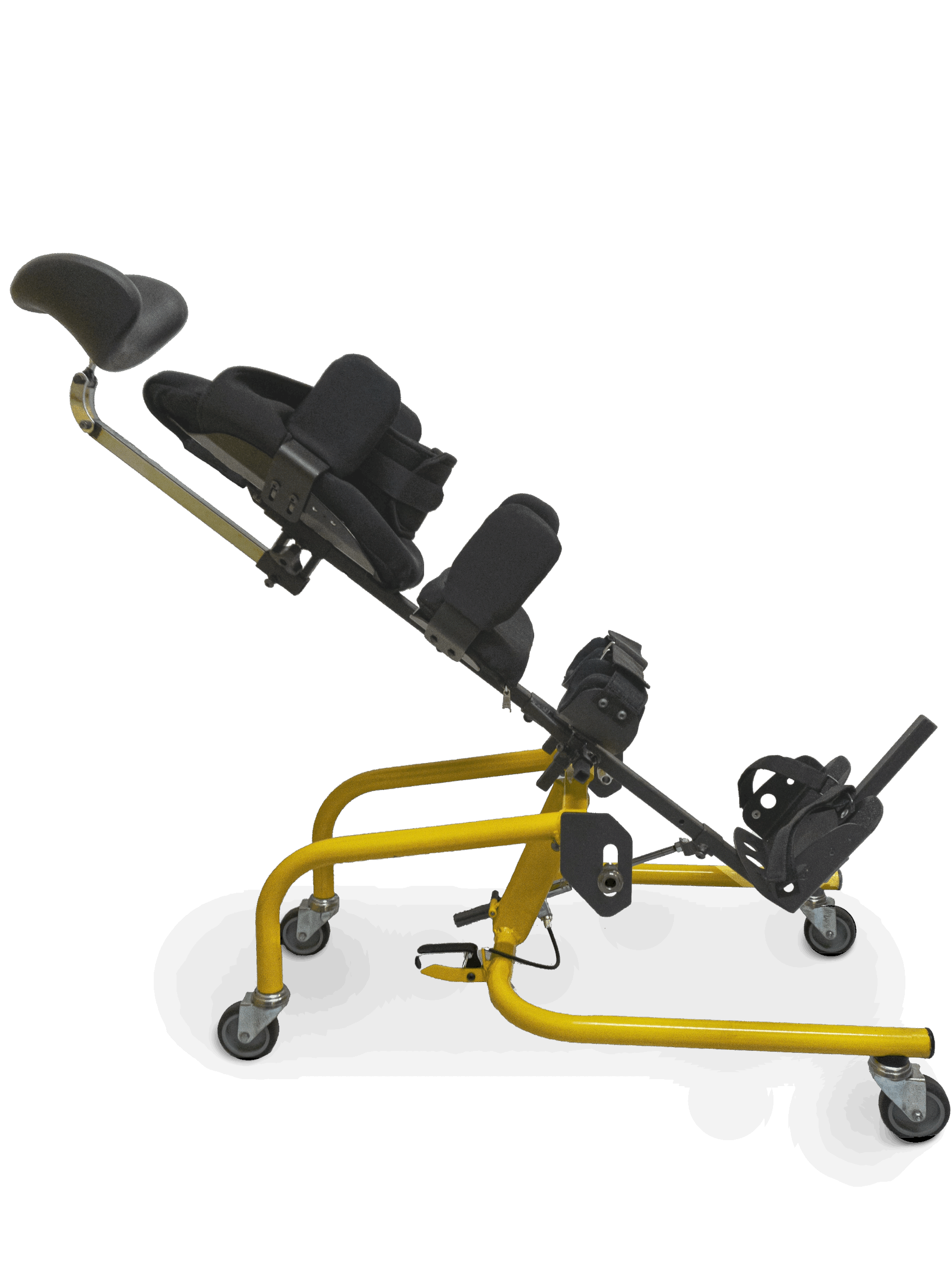 Gaviota amarillo acostado