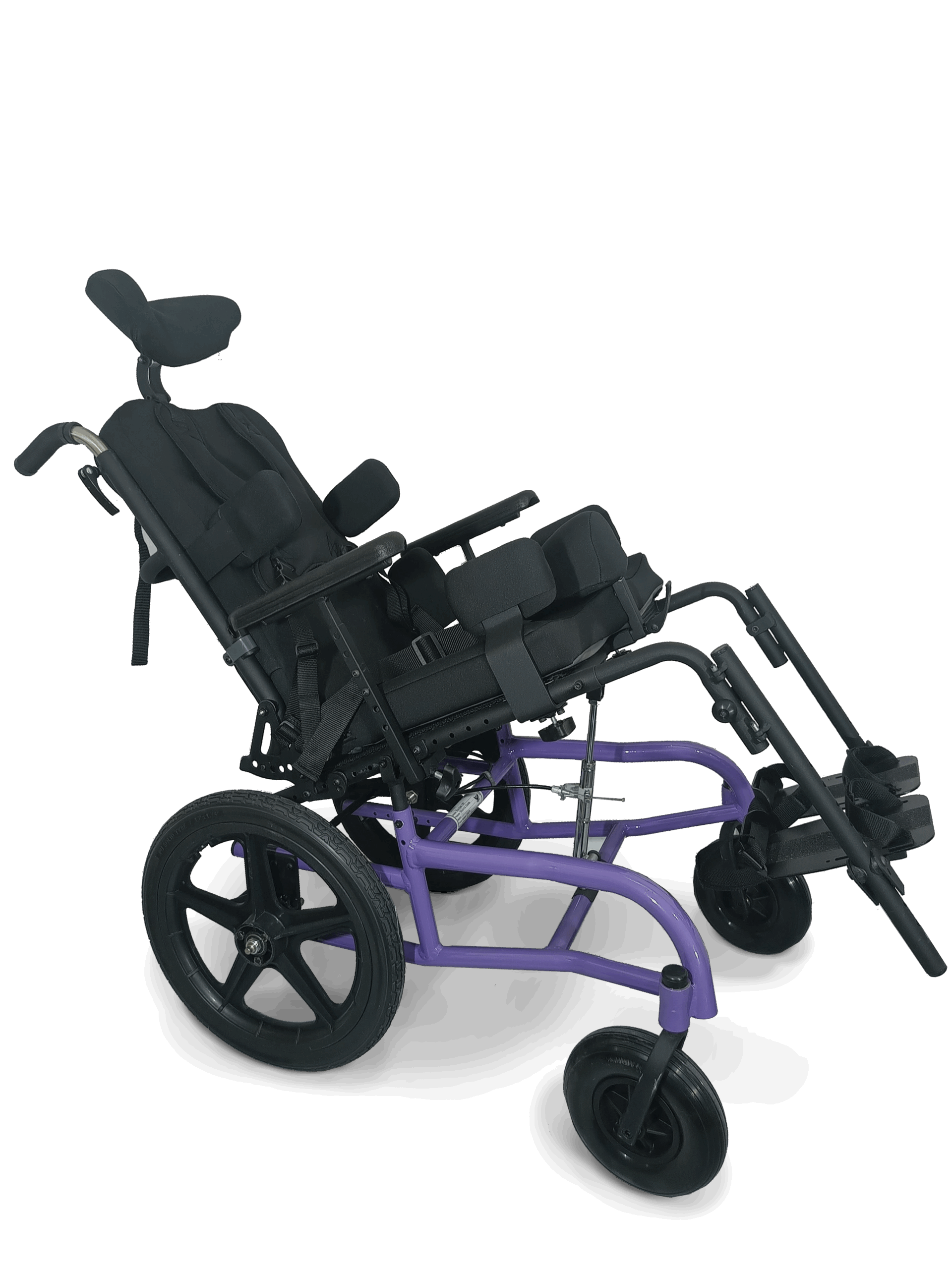 Zaiman violeta tilt
